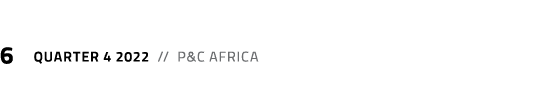 6 Quarter 4 2022 // P&C Africa