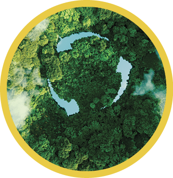 Abstract icon representing the ecological call to recycle and reuse in the form of a pond with a recycling symbol in the middle of a beautiful untouched jungle. 3d rendering.