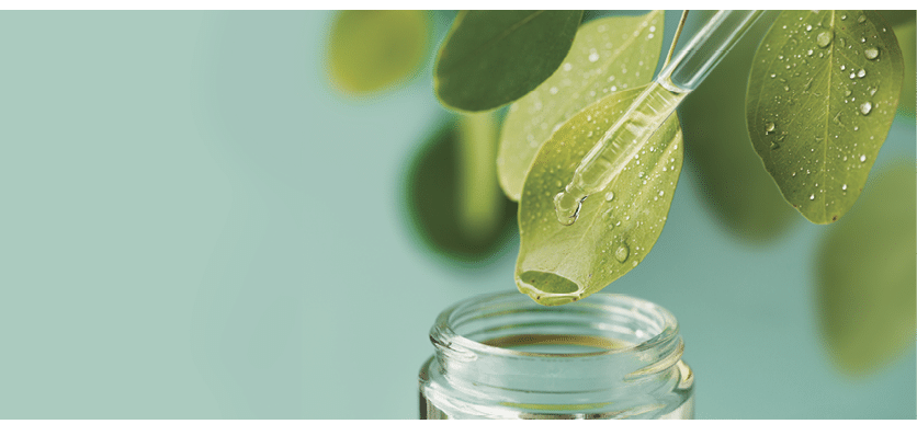 Macro shot of beautiful leaf and pipette, medicine drop falling into jar. Natural, organic, bio cosmetics from herbs and plants for skin and health