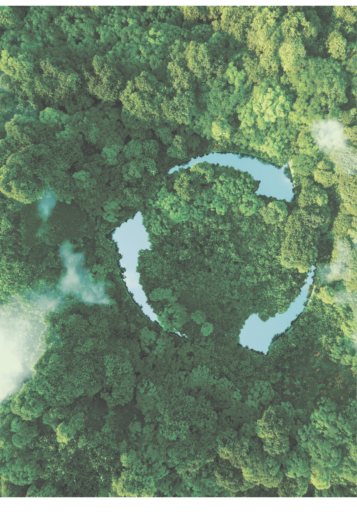 Abstract icon representing the ecological call to recycle and reuse in the form of a pond with a recycling symbol in the middle of a beautiful untouched jungle. 3d rendering.