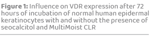 Figure 1: Influence on VDR expression after 72 hours of incubation of normal human epidermal keratinocytes with and w...