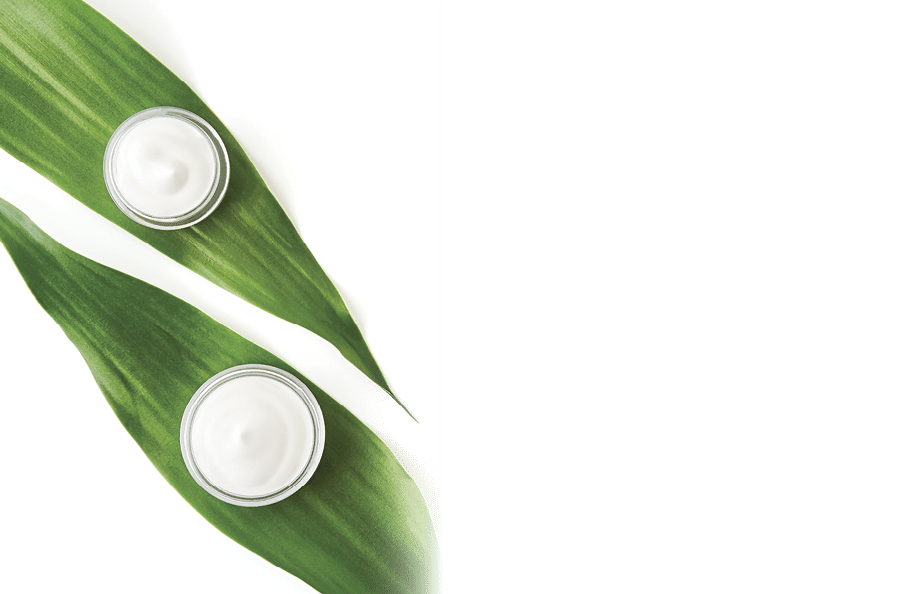 White cream bottle placed, Blank label package for mock up on a green foliage background. The concept of natural beauty products.