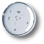 Cream and Essence oil mixed in the circle of cosmetic pipette surrounded by water bubbles on a white background.-3d rendering.