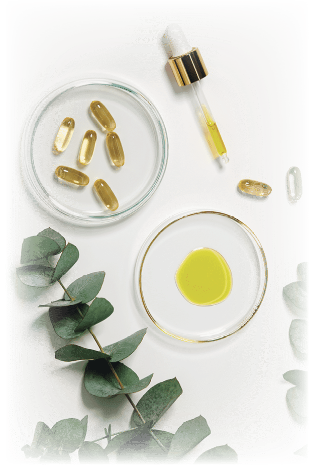 Production of natural cosmetics and medicines. Petri dish on the table with yellow oil, capsules with a transparent liquid. Eucalyptus branch on a white table.