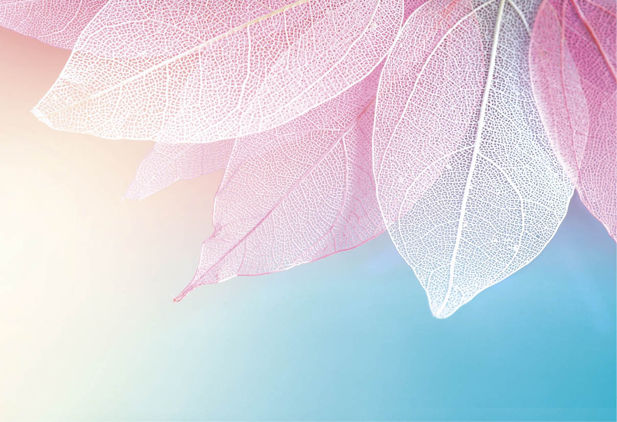Texture transparent skeleton leaves blue, turquoise, pink peach pastel color, macro. Gentle colorful beautiful artistic image of nature. Natural background.