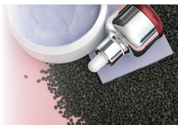 Babchi dry raw seeds (Psoralea Corylifolia) with bakuchiol skin care cream and oil in tube on pink surface  Flat lay, products mockup, copy space  Bakuchiol cosmetics concept 