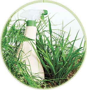Eco blank design packaging of natural bottles among green grass. Bio organic detergent product. Environmental facility.