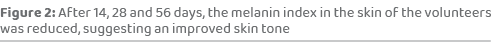 Figure 2: After 14, 28 and 56 days, the melanin index in the skin of the volunteers was reduced, suggesting an improv...