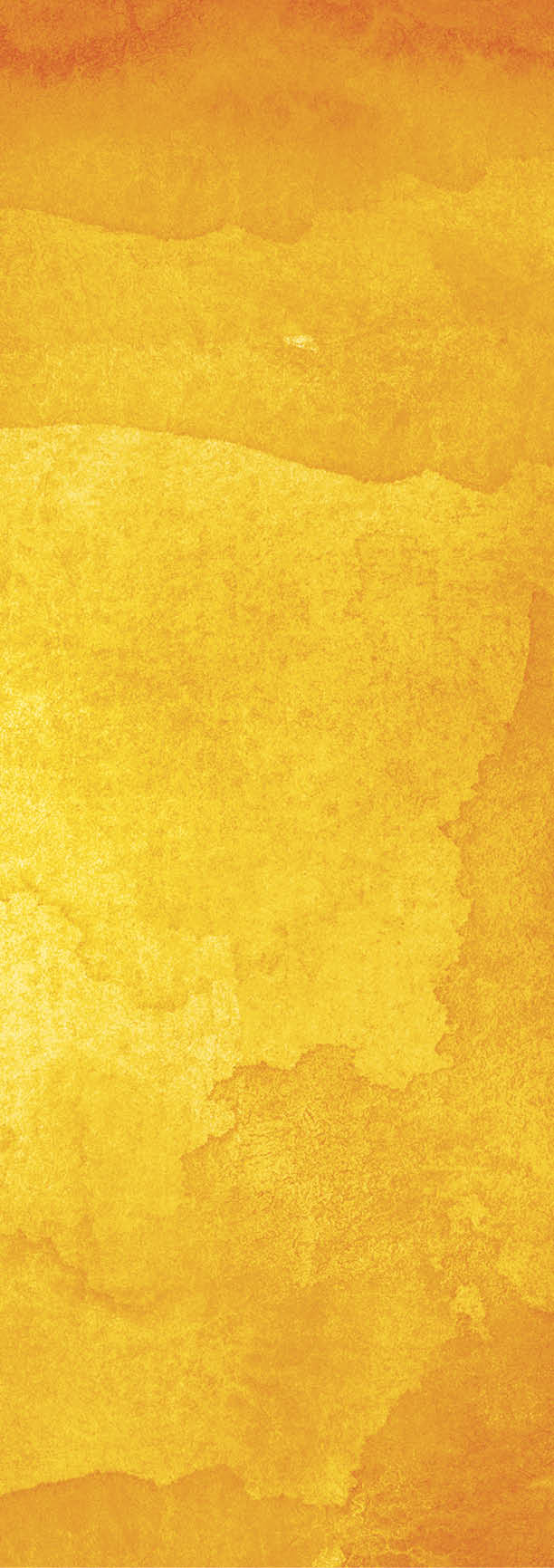 Orange abstract watercolor macro texture background. Colorful handmade technique aquarelle.