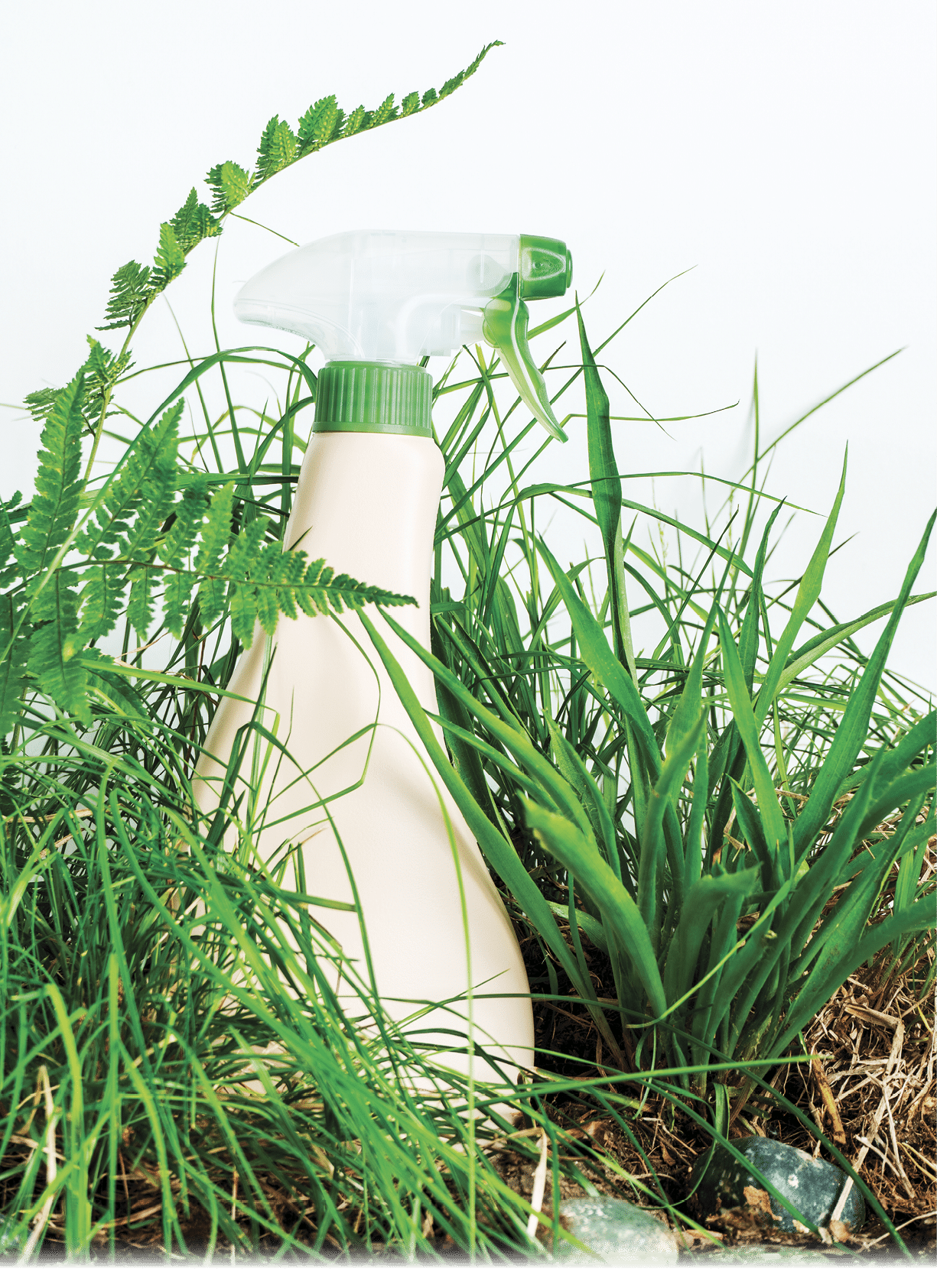 Eco blank design packaging of natural bottles among green grass. Bio organic detergent product. Environmental facility.