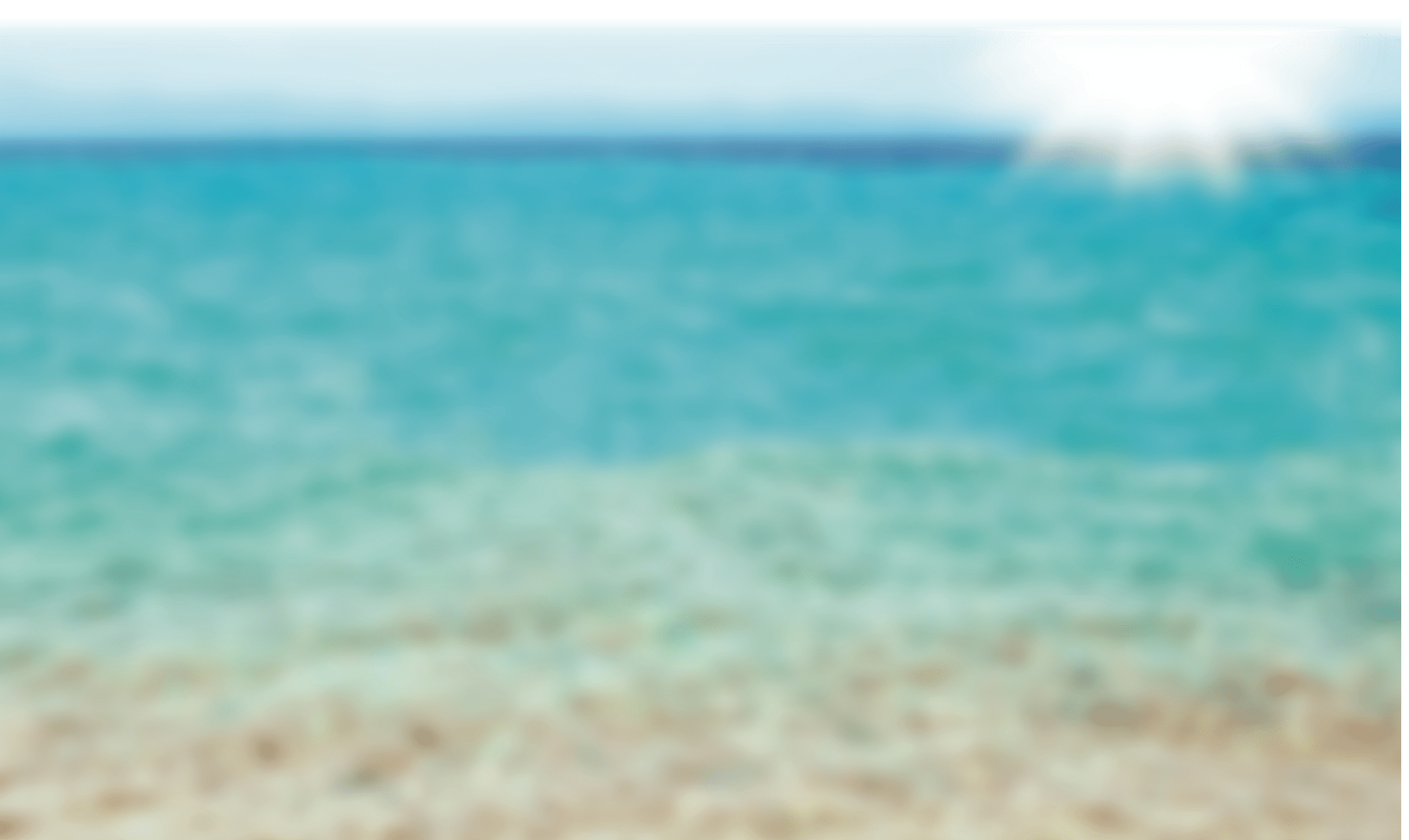 beautiful nature by the sea on nature in the park background