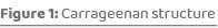 Figure 1: Carrageenan structure
