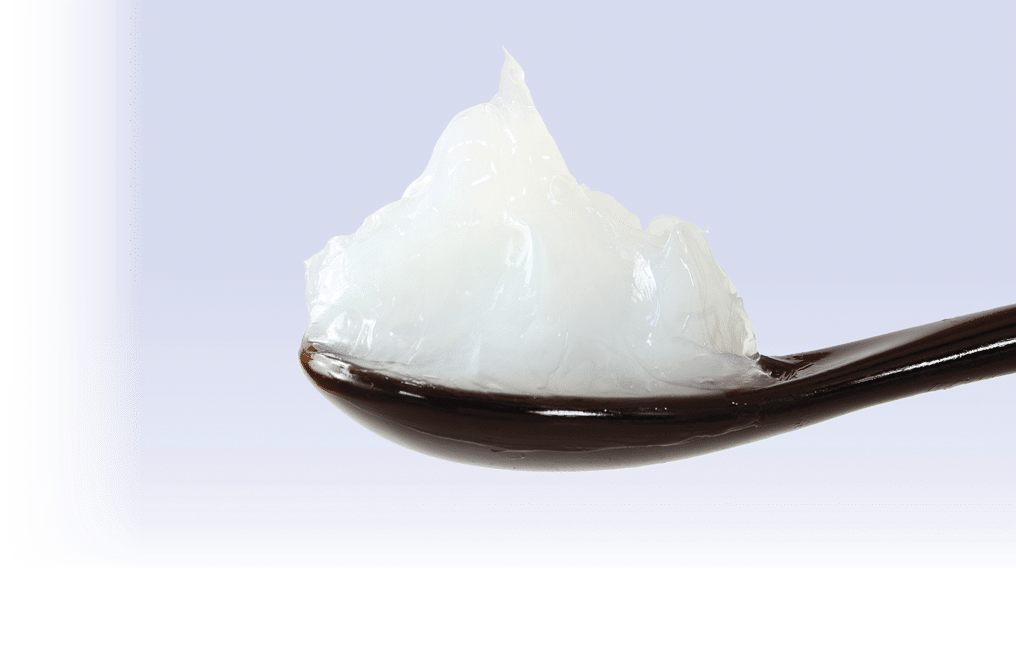 white petroleum jelly in spoon 
