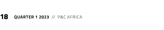18 Quarter 1 2023 // P&C Africa