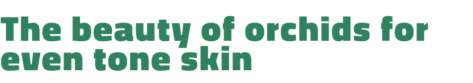 The beauty of orchids for even tone skin 