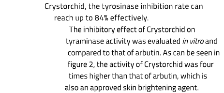 Crystorchid, the tyrosinase inhibition rate can reach up to 84% effectively. The inhibitory effect of Crystorchid on ...