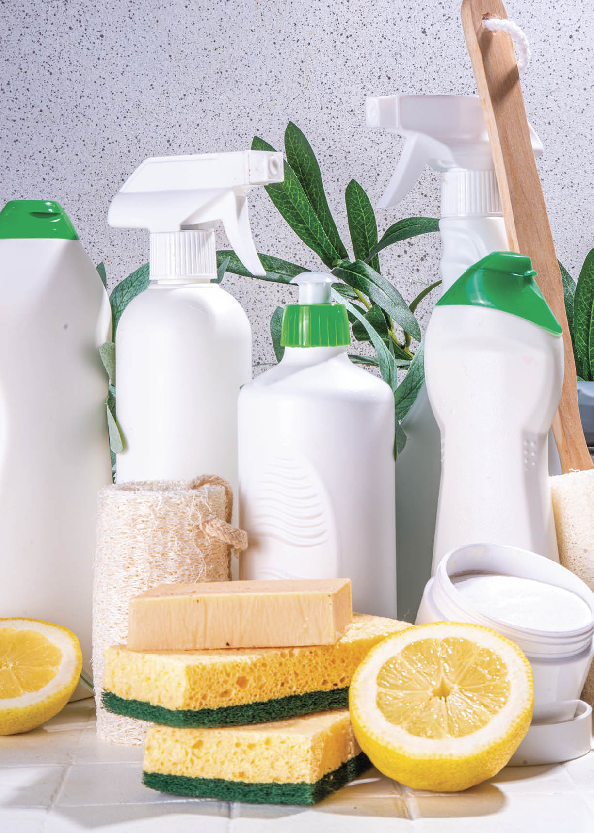 Eco friendly organic cleaning concept. Eco-friendly cleaner utensils - eco brushes, tools sponges, natural cleaning products, soda, soap, lemon, vinegar, bottles with green leaves on white background