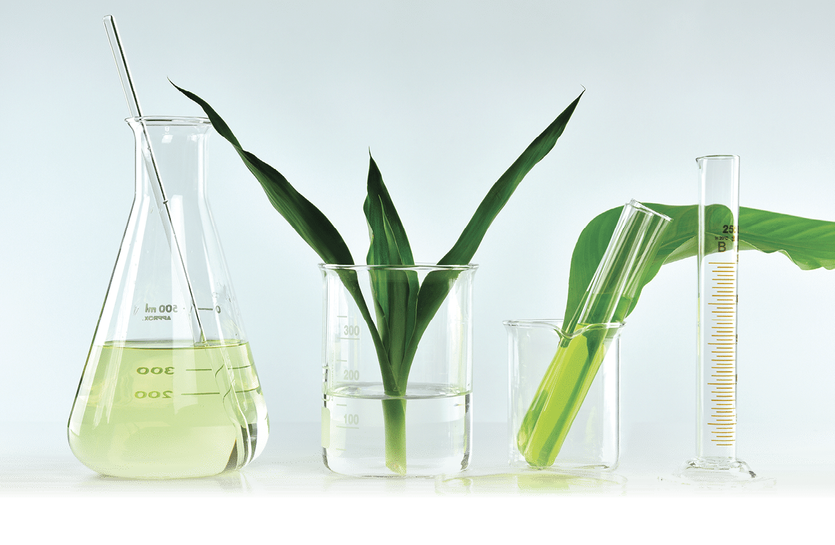 Natural organic botany and scientific glassware, Alternative herb medicine, Natural skin care beauty products, Research and development concept.