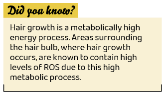 ,Hair growth is a metabolically high energy process. Areas surrounding the hair bulb, where hair growth occurs, are k...