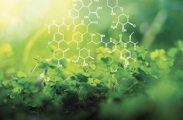Plants background with biochemistry structure.