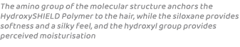 The amino group of the molecular structure anchors the HydroxySHIELD Polymer to the hair, while the siloxane provides...