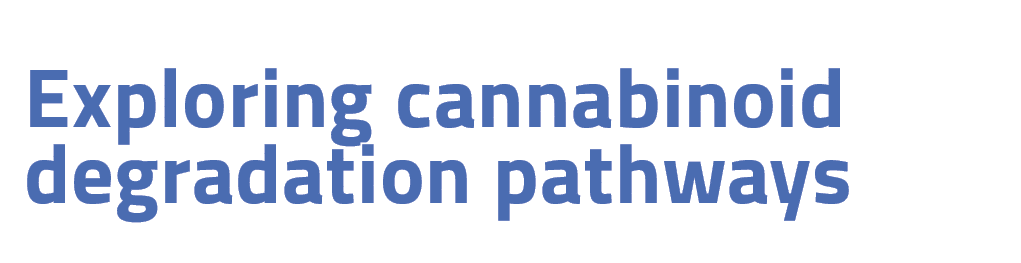 Exploring cannabinoid degradation pathways