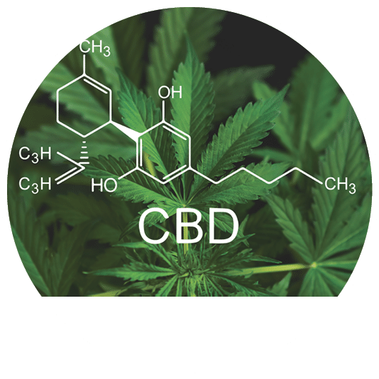 CBD formula. Hemp industry, Growing Marijuana, despancery business. CBD and THC elements in Cannabis, cannabinoids and health, medical marijuana,