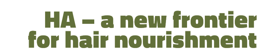 HA – a new frontier for hair nourishment 