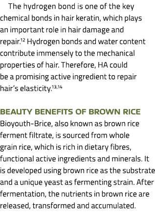 The hydrogen bond is one of the key chemical bonds in hair keratin, which plays an important role in hair damage and ...