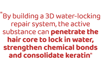 \“By building a 3D water locking repair system, the active substance can penetrate the hair core to lock in water, st...