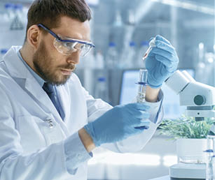In a Modern Laboratory Scientist Conducts Experiments by Synthesising Compounds with use of Dropper and Plant in a Test Tube.