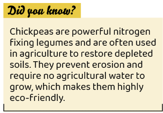 ,Chickpeas are powerful nitrogen fixing legumes and are often used in agriculture to restore depleted soils. They pre...
