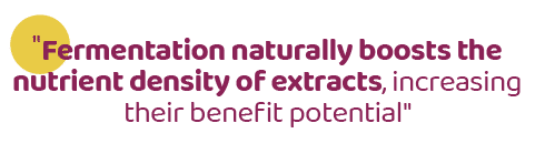 \“Fermentation naturally boosts the nutrient density of extracts, increasing their benefit potential