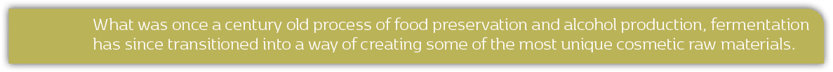 What was once a century old process of food preservation and alcohol production, fermentation has since transitioned ...