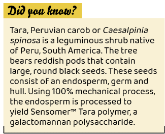 ,Tara, Peruvian carob or Caesalpinia spinosa is a leguminous shrub native of Peru, South America. The tree bears redd...