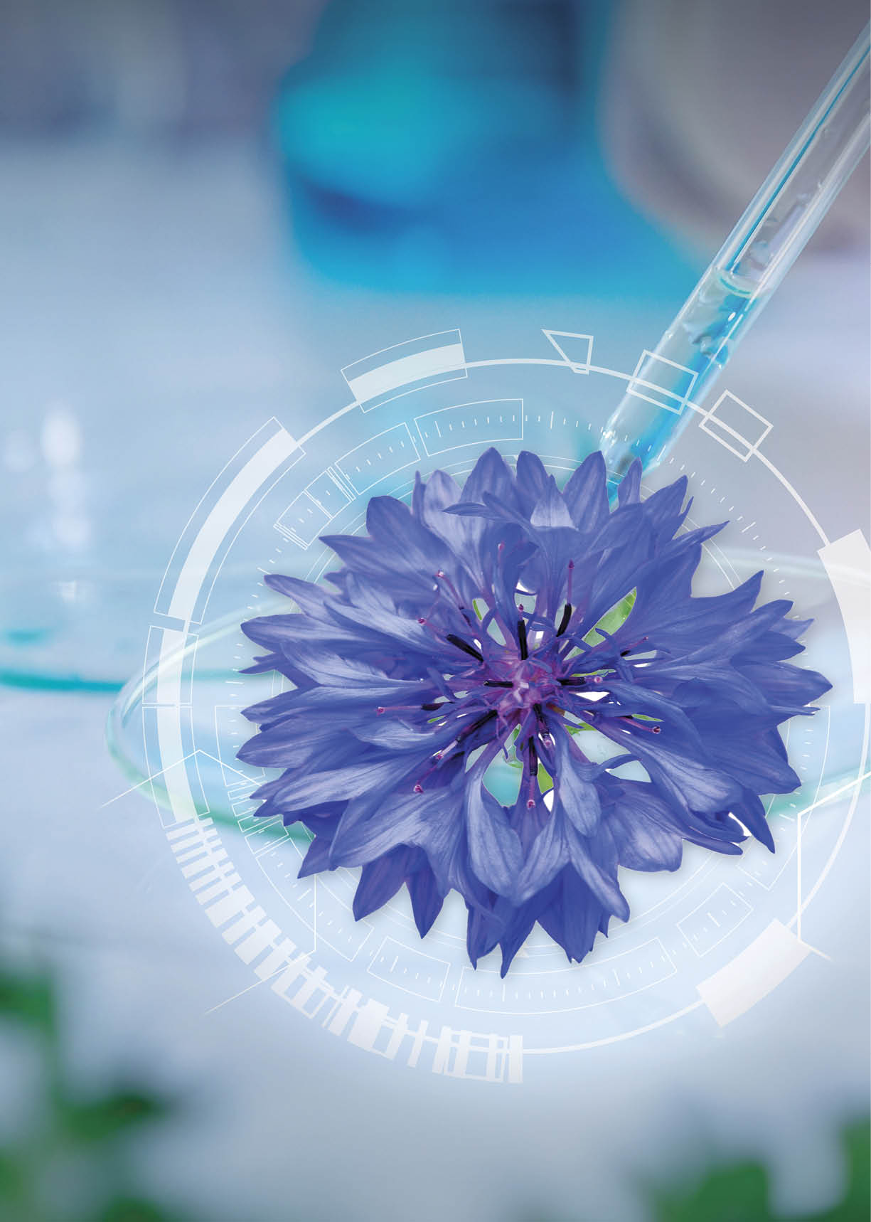 selective focus a small organic plant, Beauty background, scientist is sampling a chemical extract from organic natural, research and develop background,