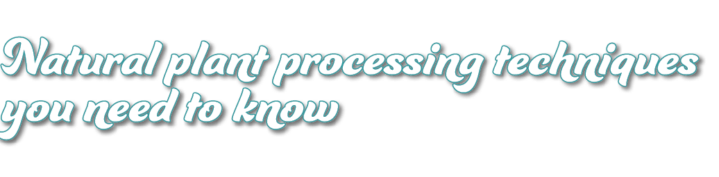 Natural plant processing techniques you need to know 