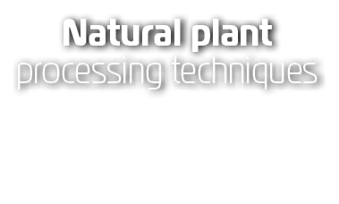 Natural plant processing techniques