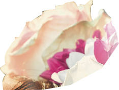 Rainforest, skincare and beauty girl with flower accessory crown for tropical cosmetic with bokeh profile. Natural, jungle and wellness model woman with roses for floral cosmetics advertising.