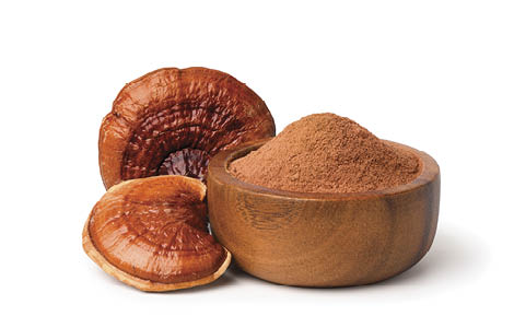 Reishi Mushroom (Lingzhi) powder isolated on white background.