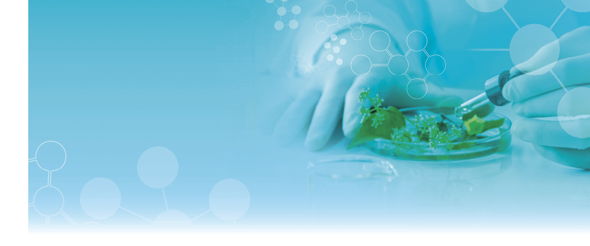 Light blue blackground with green plants in the laboratory, doing research about drug from plants, plants in the petri dish, scientis puts medical gloves making natural extraction, space for text.