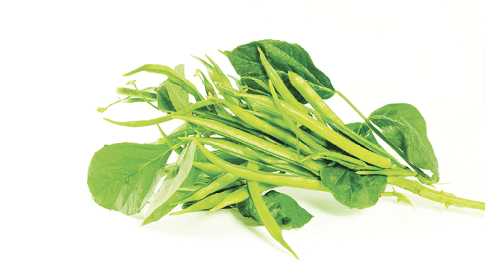 cluster bean or guar been indian vegetable in white background