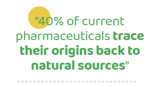 “40% of current pharmaceuticals trace their origins back to natural sources”