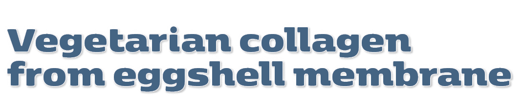 Vegetarian collagen from eggshell membrane 