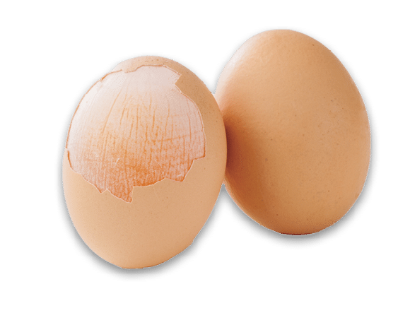 peeled egg shell expose the egg membrane on white background.
