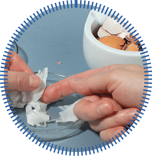 Treating Finger Injuries with eggshell membrane - alternative natural bandage with a history of use in wound healing. Woman hands close up. Natural medicine.