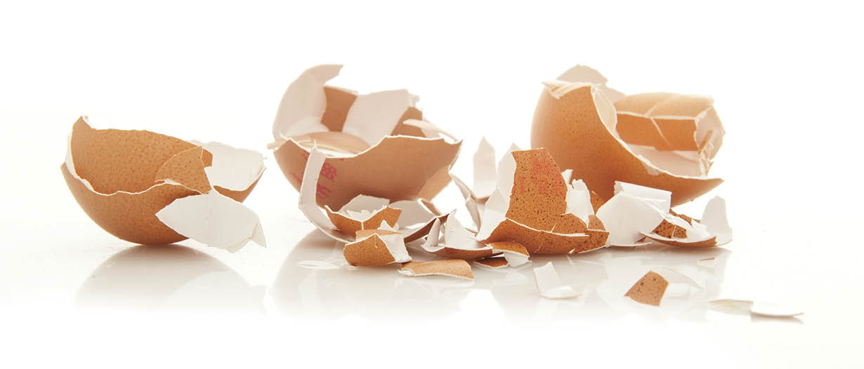 Broken Egg Shells on white background