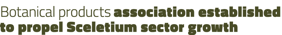 Botanical products association established to propel Sceletium sector growth