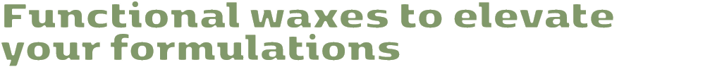 Functional waxes to elevate your formulations