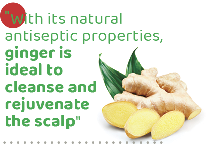 \“With its natural antiseptic properties, ginger is ideal to cleanse and rejuvenate the scalp